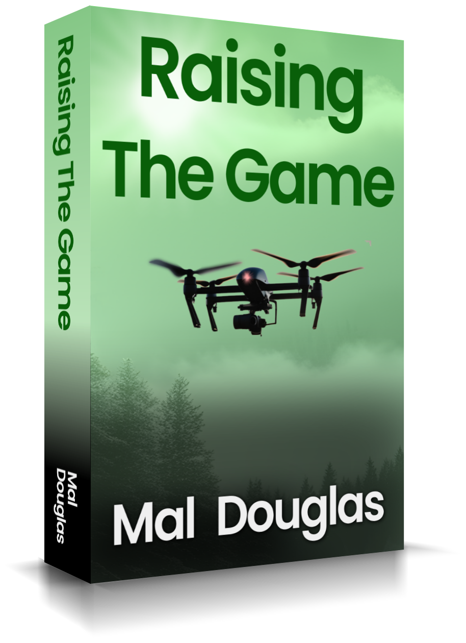 Raising The Game (working cover image)